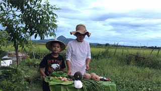 Cooking Milkfish For Our Dinner [upl. by Mialliw273]