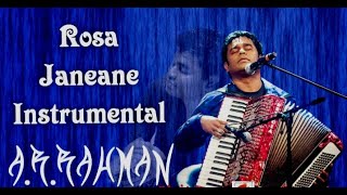 ROSA JANEMAN INSTRUMENTAL PIANO INSTRUMENTAL ROSA JANEMAN SOFT INSTRUMENTAL PIANO ROSA\BY BABUJEE [upl. by Nauqyt]