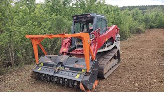 Mulching Property Lines Through Very Thick Brush [upl. by Sirob623]