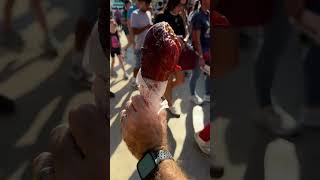 Daily October Short Day 18 Texas State Fair Turkey Leg texas dallas texasstatefair turkey [upl. by Yellas]