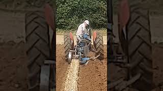 Massey Ferguson 35 Tractor at BDVPS Rousham Ploughing Match Sunday 18th August 2024 [upl. by Elyad314]