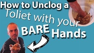 Unclog a Toilet With Your Bare Hands  DISGUSTING [upl. by Eecak]