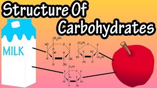 Structure Of Carbohydrates  What Are Carbohydrates Made Of Structure Of Glucose Fructose Galactose [upl. by Hareehat]