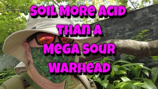 TRocks Soil More Acid than Vinegar [upl. by Aritak]