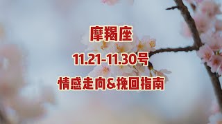 摩羯座，11211130号，情感走向amp挽回指南 [upl. by Ru879]