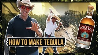 HOW TEQUILA IS MADE [upl. by Daney]