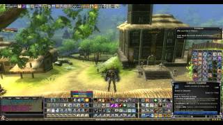 DDO  12 Fvs 6 Wiz 2 Mnk  New build [upl. by Lily815]