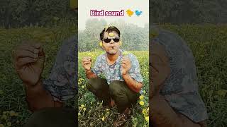 bird sound 🐤🐦 Hussain7Star viral shorts trending funny comedy shortvideos shortsfeed [upl. by Savihc]