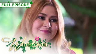 ENG SUB Ep 115  Wildflower  Maja Salvador Tirso Cruz III Aiko Melendez [upl. by Ttegirb]