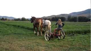 Mowing Hay with Horses [upl. by Small357]