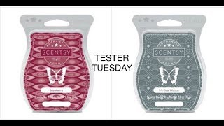 TESTER TUESDAY 2  Snowberry amp My Dear Watson SCENTSY [upl. by Joye]