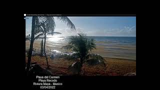 PLAYA DEL CARMEN🔴VAMOS A LAS PLAYAS🌊VIDEO MAS RECIENTE🌴SARGAZO 2023 [upl. by Sug]