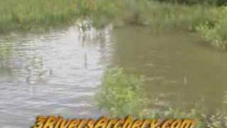 3Rivers Archery Bowfishing DVD [upl. by Yrtua]