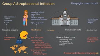 Streptococcal Infection [upl. by Shaia]