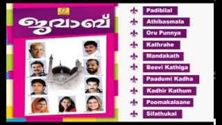 Mappilappattukal  Javab Vol 2  Malayalam Mappila Songs  Audio Jukebox [upl. by Aikmat]