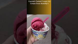 TOP TEN MOST POPULAR ICE CREAM IN THE WORLD trendingshorts shortsfeed topten viralshorts [upl. by Izmar]