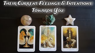 🦭💕 Their Current Feelings amp Intentions Towards You 🧁🦔 Pick A Card Love Reading [upl. by Larsen]