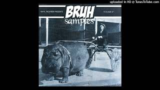 Vinyl Frontier Presents BRUH Samples Vol 47 Track 5 [upl. by Sabsay]