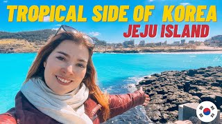 ULTIMATE 2 days JEJU ISLAND itinerary [upl. by Kaliski]