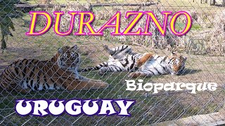 Ciudades DURAZNO y su BIOPARQUE Uruguay😀 [upl. by Phaedra]