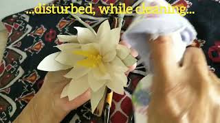 How To Clean Paper Flowers  How To Dust Artificial Flowers  How To Dust Fake Flowers [upl. by Paapanen]