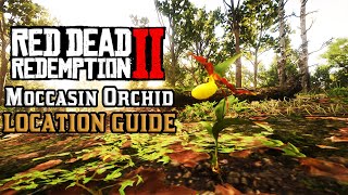 All 10 Moccasin Orchid  Location Guide  Red Dead Redemption 2 [upl. by Neenwahs]