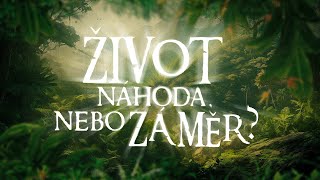 Život – náhoda nebo záměr  DOKUMENT 2008 [upl. by Duma]