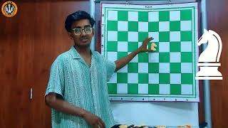 Learn chess  Knight Movement [upl. by Nueormahc]