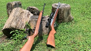 Ruger 1022 vs Marlin Model 60 Head to Head accuracy test [upl. by Bonneau]