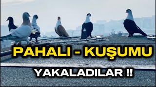 PAHALI  KUŞUMU YAKALADILAR [upl. by Yngiram]