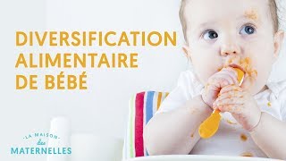 La diversification alimentaire de bébé [upl. by Luaped650]