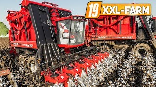 LS19 XXL Farm 3 Die große BAUMWOLLERNTE  LANDWIRTSCHAFTS SIMULATOR 2019 [upl. by Daffodil121]