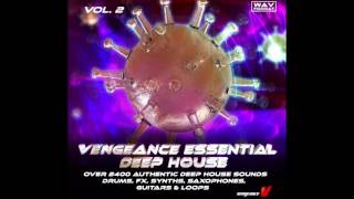 VengeanceSoundcom  Vengeance Essential Deep House Vol 2 [upl. by Conger]