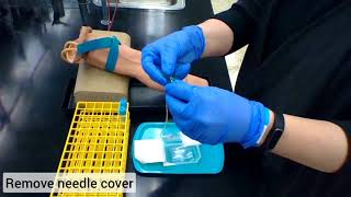 Butterfly Venipuncture Demo [upl. by Ecnarf936]