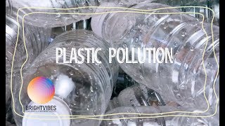 How to stop plastic pollution in 8 simple steps [upl. by Enialed]