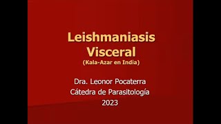 Leishmaniasis visceral [upl. by Samohtnhoj]