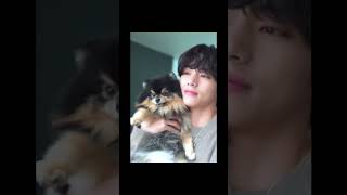 Happy birthday Yeontan  The most cute kpop idol Yeontan  Taehyung Yeontan  adorable v yeontan [upl. by Ellehcyar90]