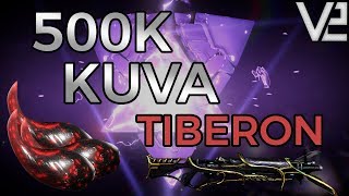 Warframe  100 Rerolls 500K Kuva Tiberon Riven [upl. by Lutero663]