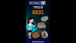 Types of Rocks  Igneous Sedimentary Metamorphic Rocks  Geography  Science shorts [upl. by Luing]