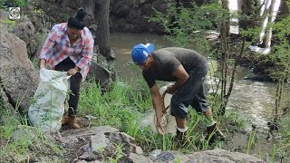 siguen saliendo costales de pescado en este rio después que se lleno la presa y esta desaguando [upl. by Kahl463]