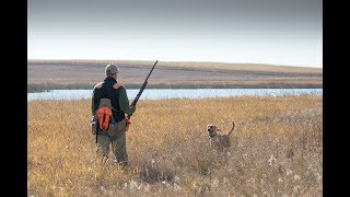 A Bird Dogs First Pheasant Hunt  The Flush Season 9 Episode 5 [upl. by Stoat]