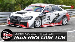 340hp Audi RS3 LMS TCR  Gerald Haidenbauer  Hill Climb Skradin 2023 [upl. by Shevlo607]