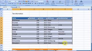 Excel Tabelle erstellen [upl. by Enairda]