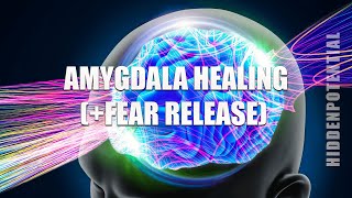 Amygdala Healing Cocktail Cure Fear and Anxiety Energetically Programmed Audio Ver 40 [upl. by Horn]