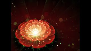 Sleep Meditation Music for Root Chakra  muladhara  Healing [upl. by Becht67]