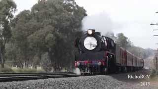 High Speed Steam Train Compilation  2015 in Victoria Australia [upl. by Hartzell]