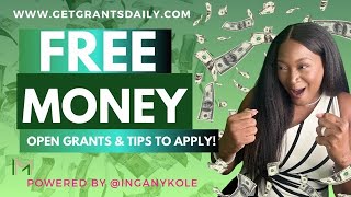 100000 FREE GRANT MONEY amp Funding for your Business Dreams [upl. by Attelrahc]