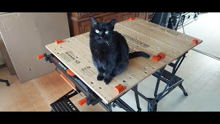 Black amp Decker™ Workmate® 425  Unboxing Review [upl. by Karlens133]