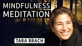 Meditation with Tara Brach Developing SelfCompassion [upl. by Yebot847]