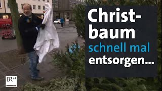 Bitte kein wildes ChristbaumWegwerfen  Abendschau  BR24 [upl. by Antsirhc]